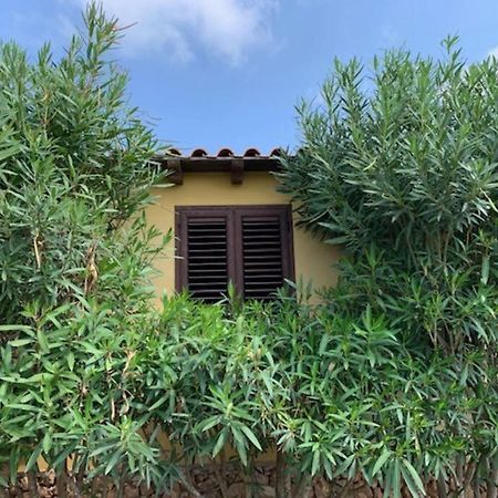 Villa Maveda, Un Dammuso Immerso Nel Verde 람페두사 외부 사진