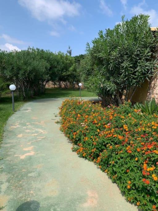 Villa Maveda, Un Dammuso Immerso Nel Verde 람페두사 외부 사진