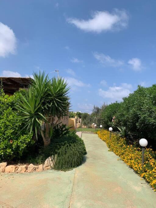 Villa Maveda, Un Dammuso Immerso Nel Verde 람페두사 외부 사진